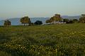 Chypre07 - 2007-03-10_17-36-59